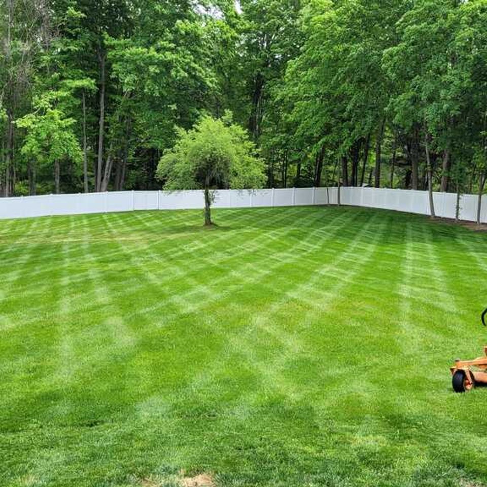 Carlos lawn 2