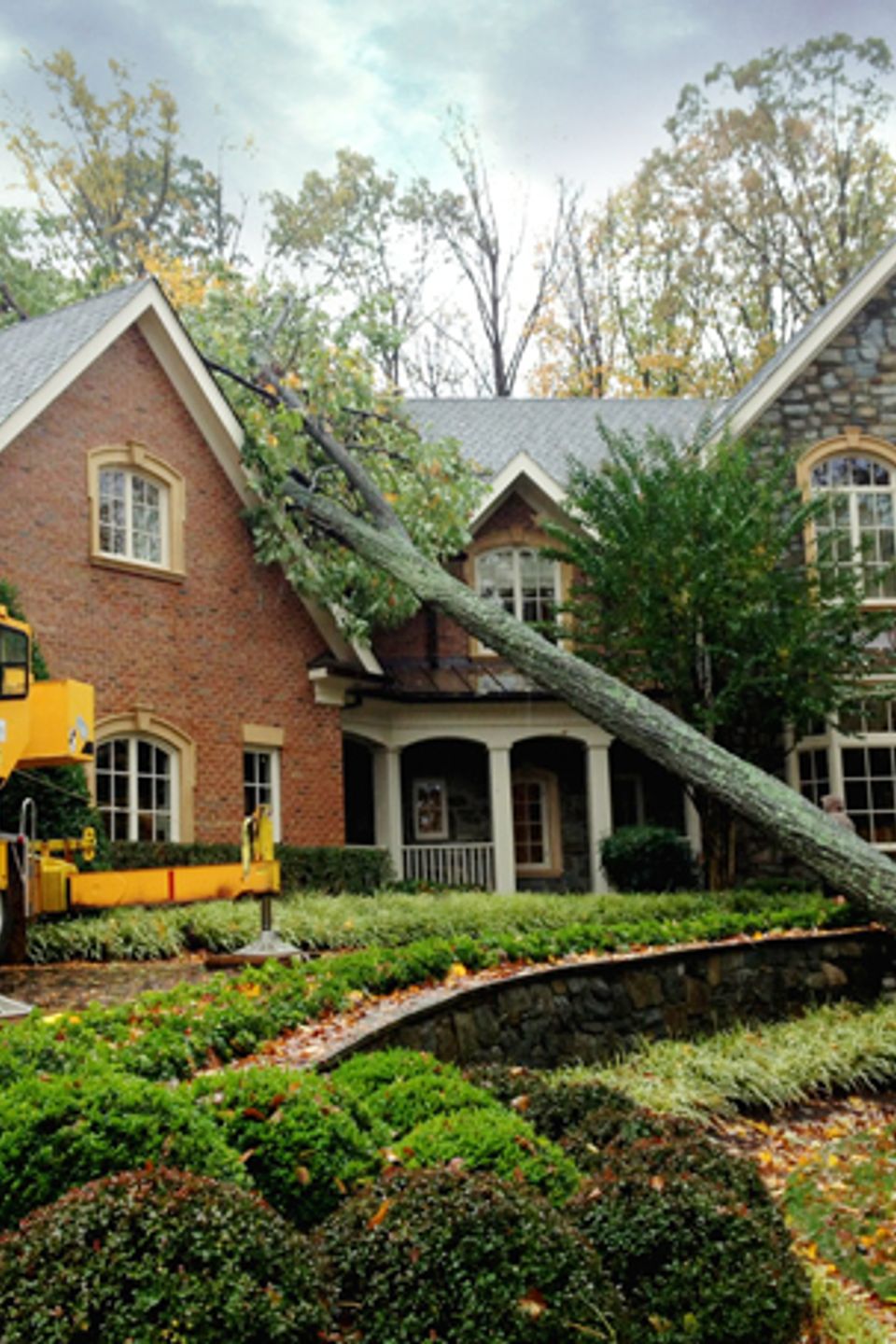 tree service emergency services fair oaks