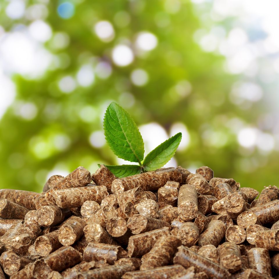 Hardwood pellets with leaf depositphotos 209562272 xl 2015 (1)