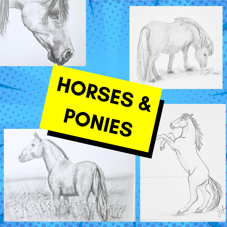Horses squ