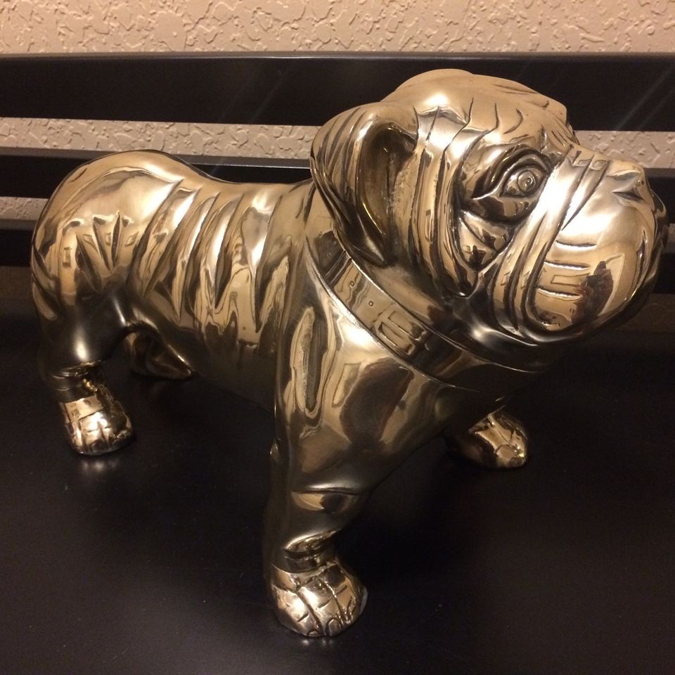 Dog 120170720 32595 1mrp5ha