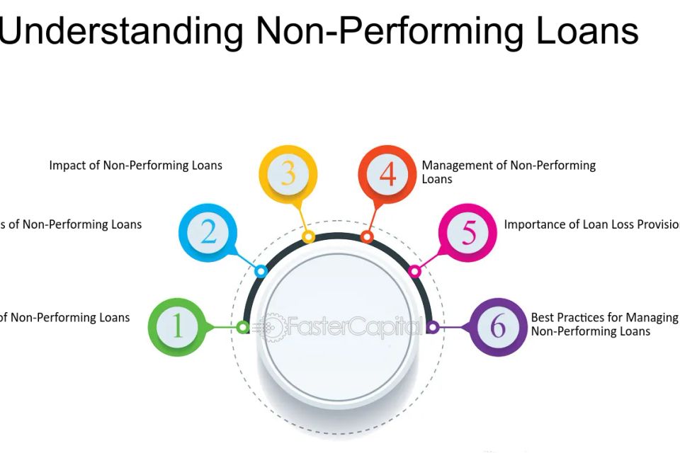 Non performing loans.jpeg 9