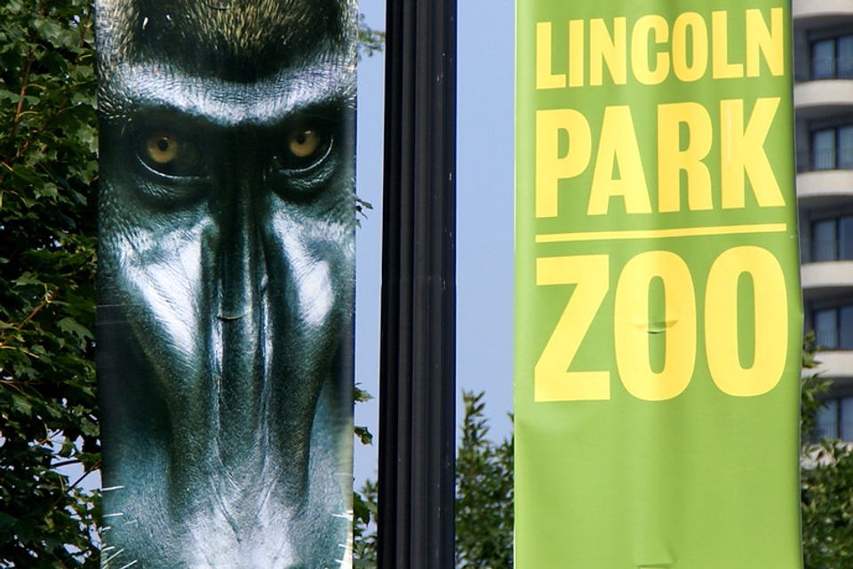 Banner signs 1