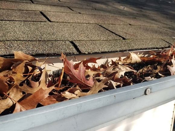 Gutter vacuum