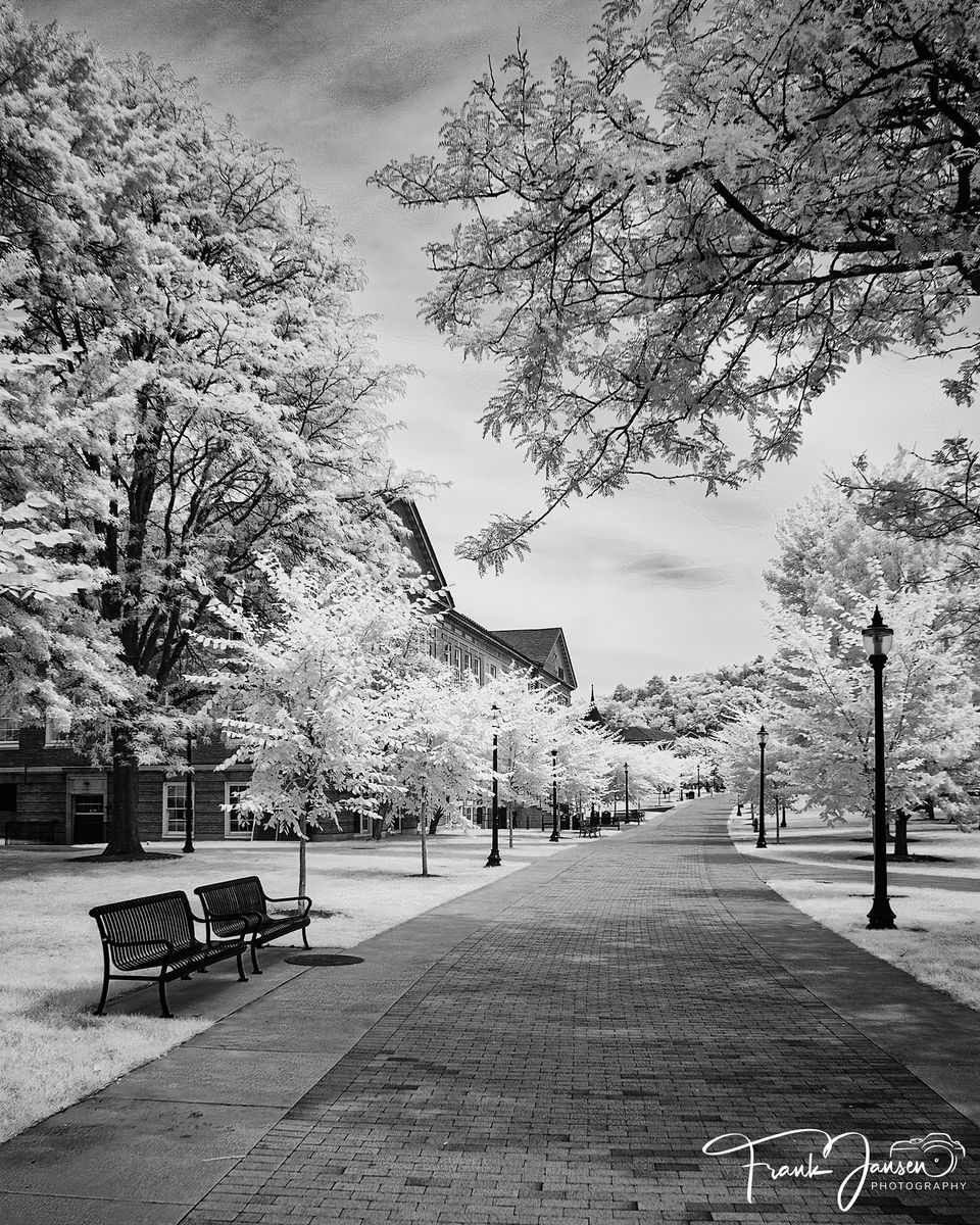 Av camera club may1