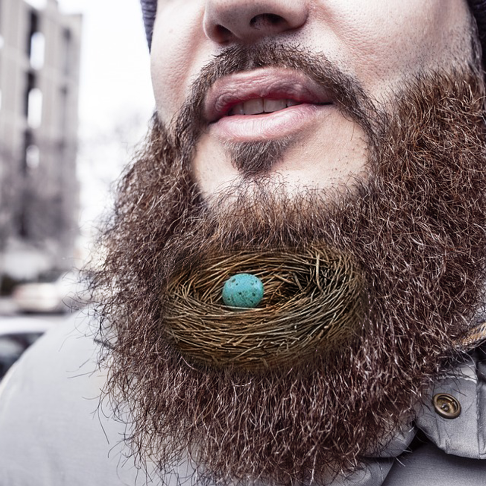 Beard 698509 960 720 original
