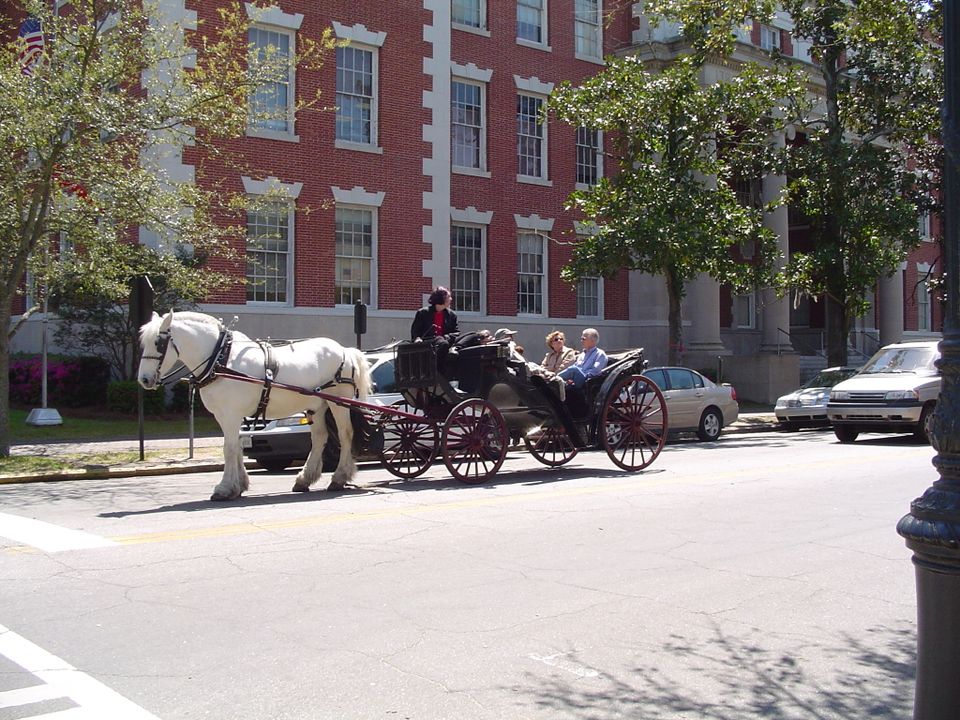 Savannah 06920180220 28675 x5z7jh