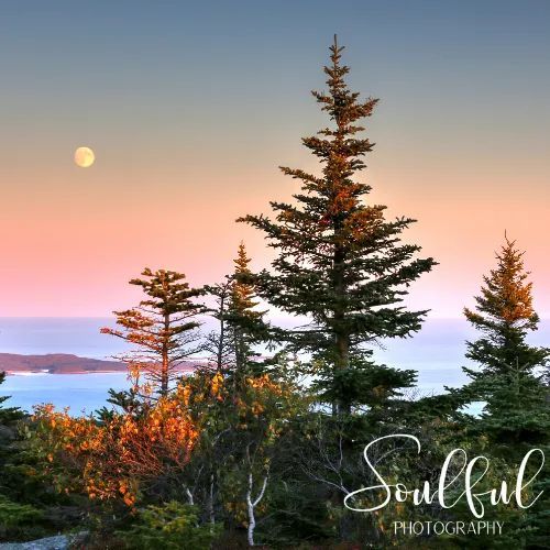 Soulful (500 x 500 px) original original