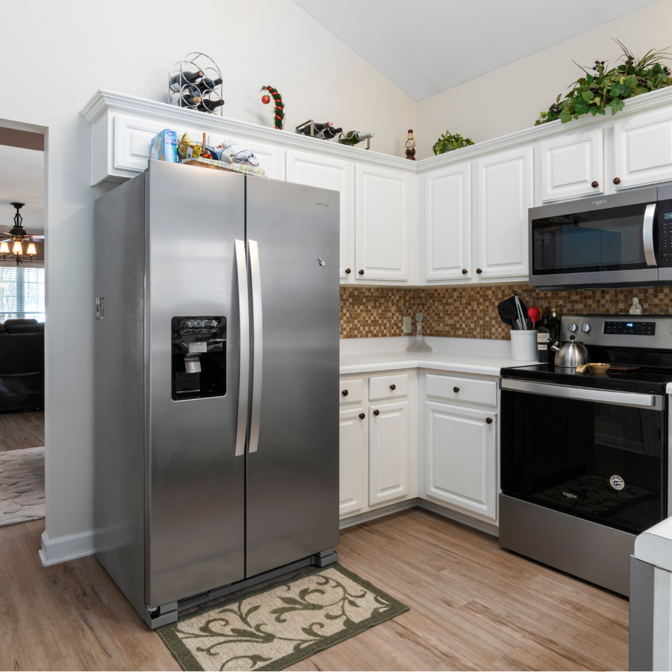 Refrigerator picture