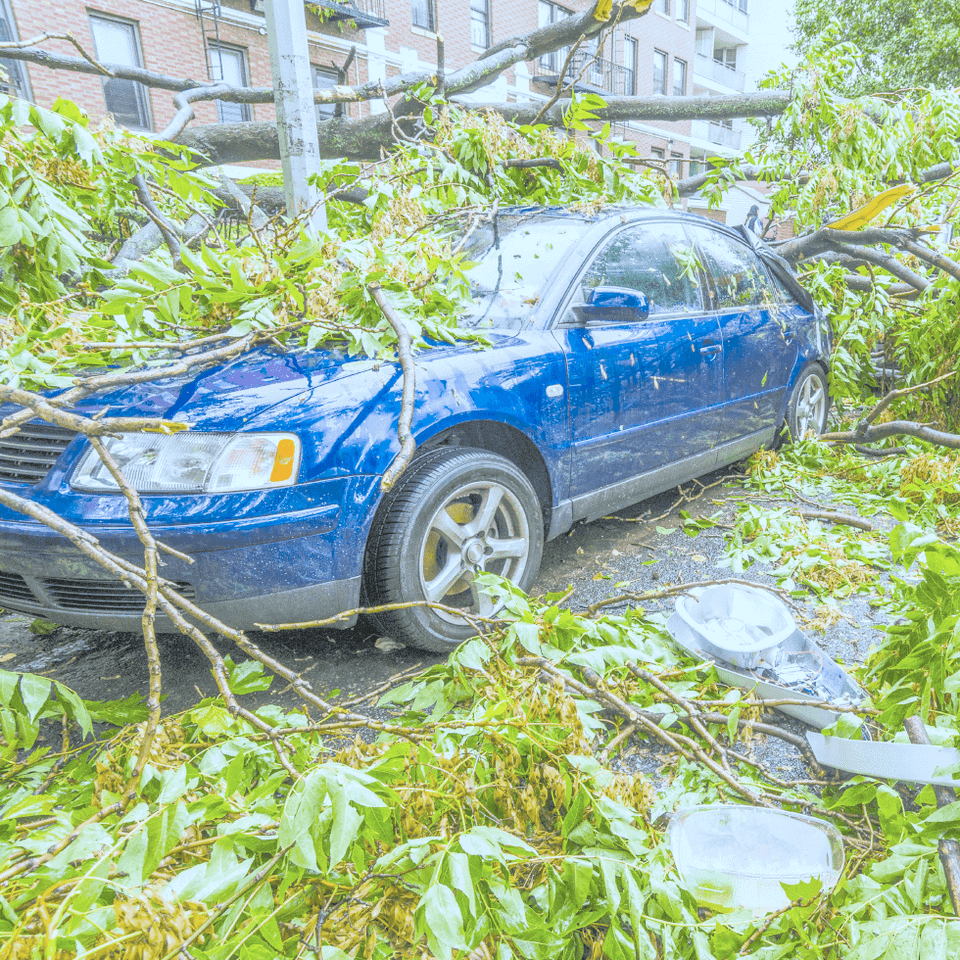 Property damages from unexpected weather