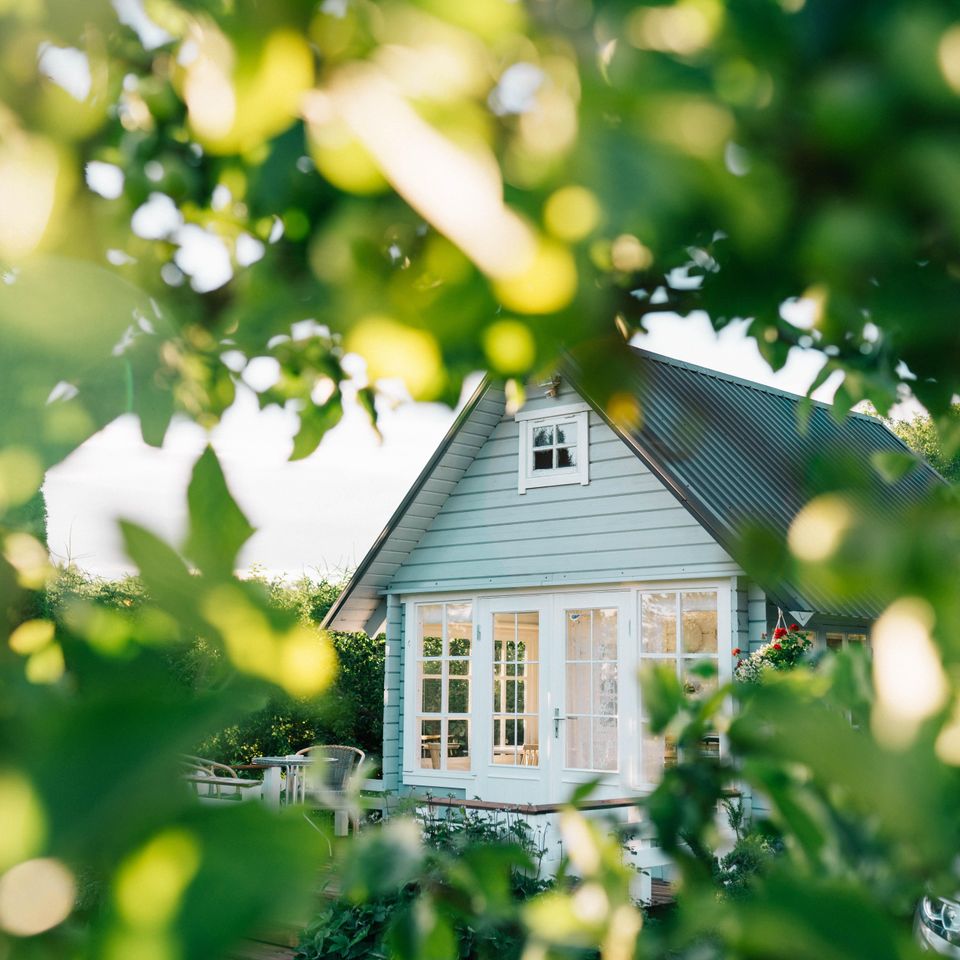 Lush green foliage creating a peaceful backdrop behind a suburban home