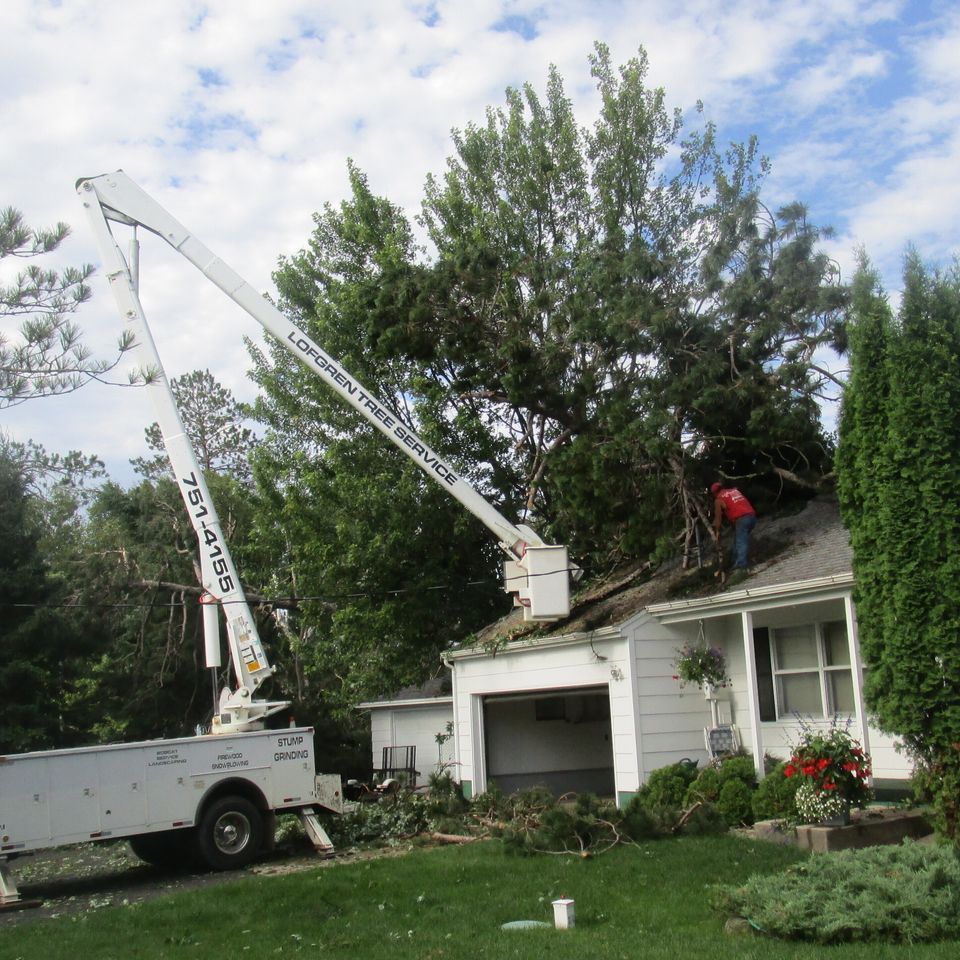 Storm cleanup 2