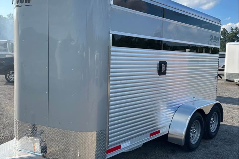 653885115 26960306686905225 5472016326503927656 n