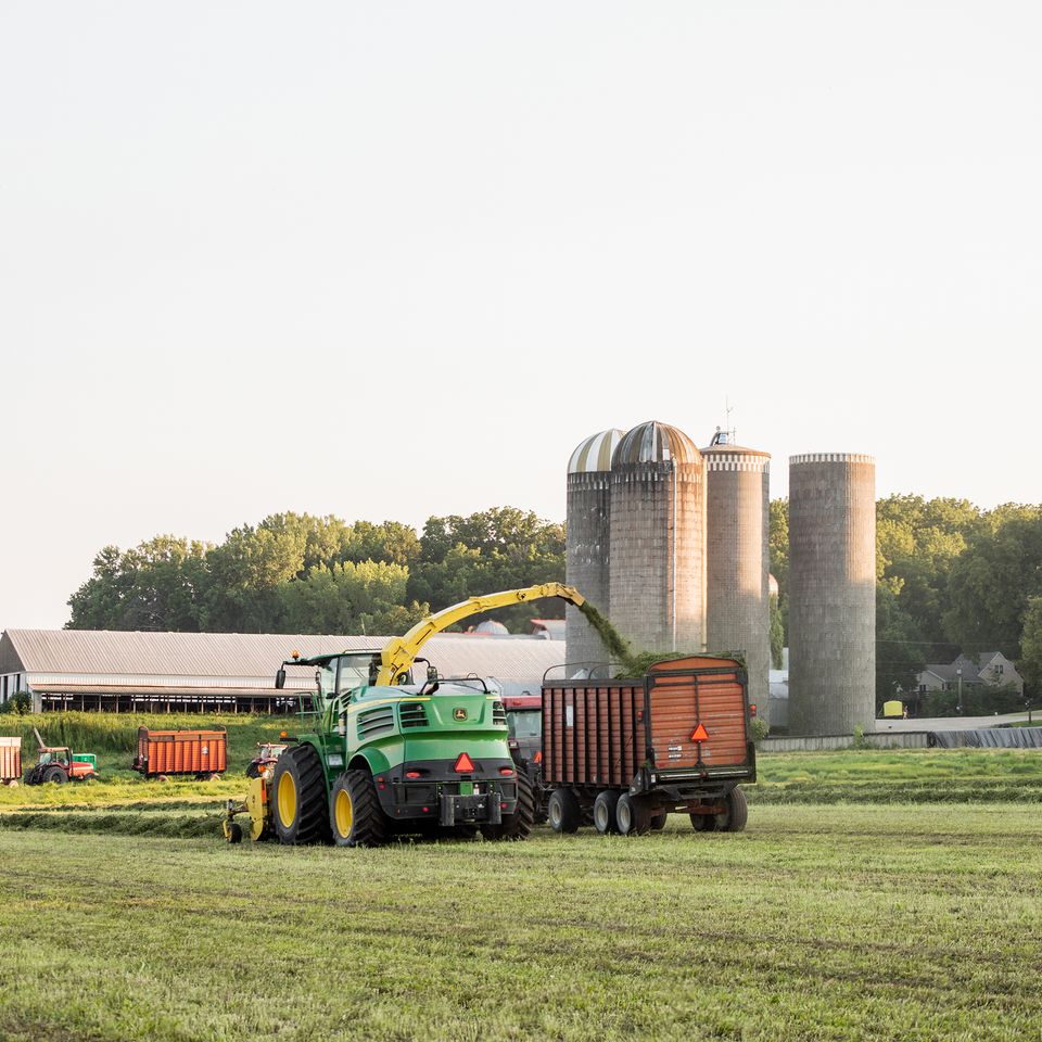 Haycrop august2024 23