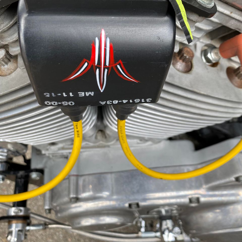 Creative custom pinstriping design and artistic projects created by Skeeter's Grafix.