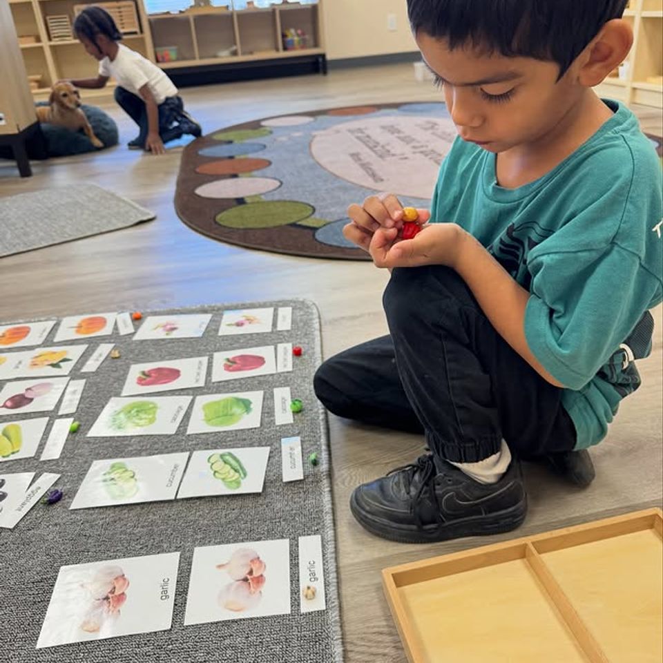 Preschool boy matching vegetable picture cards on the rug during a Montessori language lesson in Palmdale CA