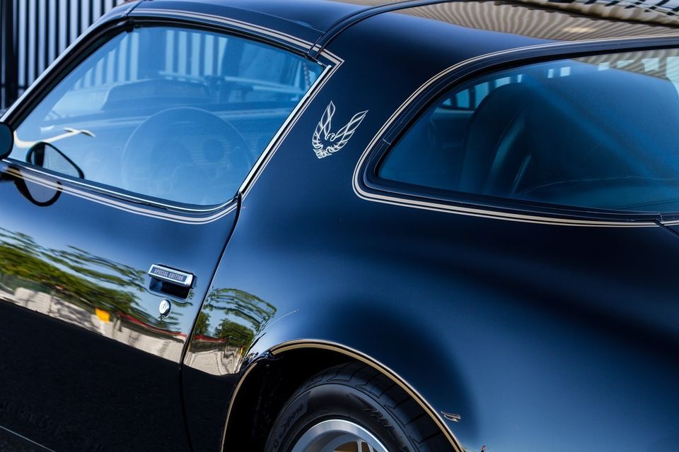 Ceramic pro protection auto detail coating