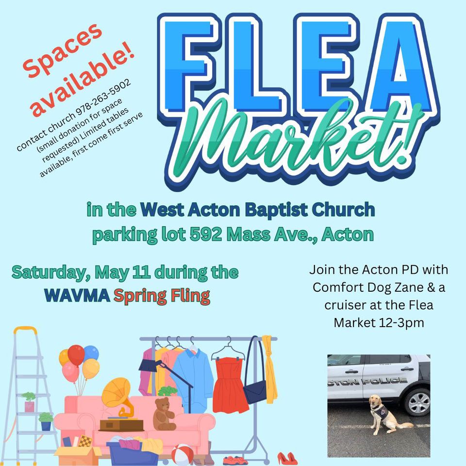 Flea market   spring fling (2)