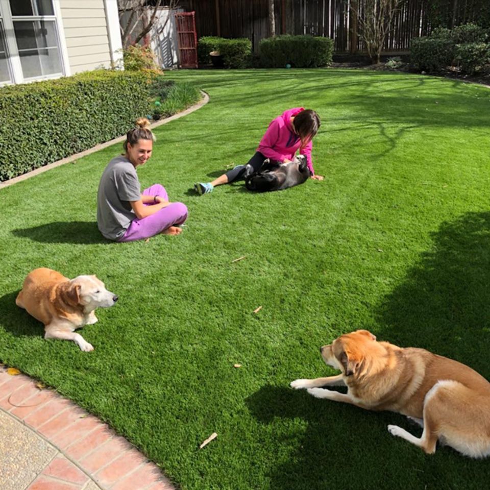 Grn envy artificial turf our work 10