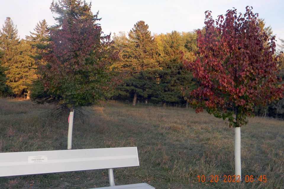 Dscn7385
