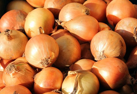 Onion g8547d1a45 1920