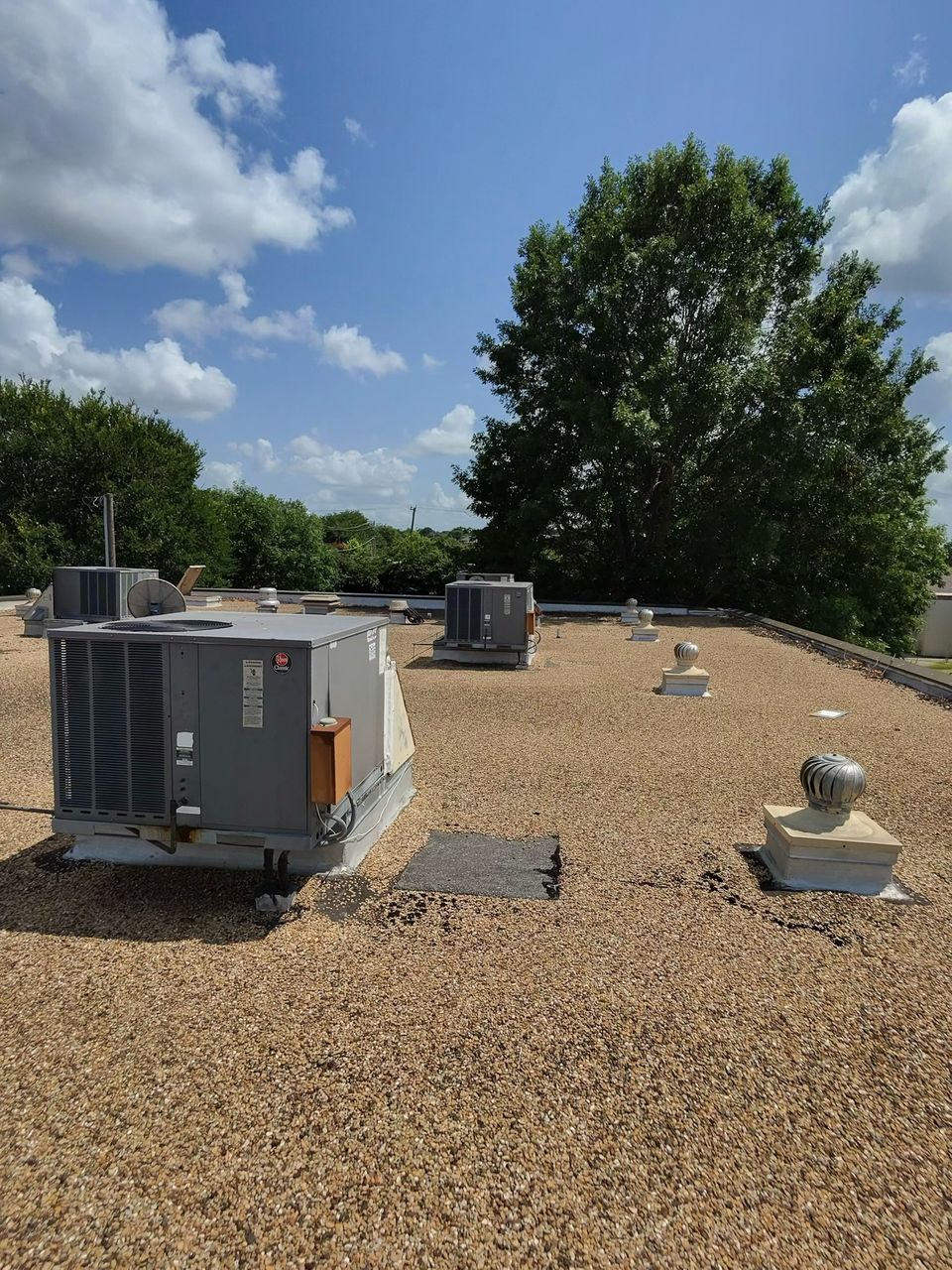 Photo 3994 singular display fullpicture