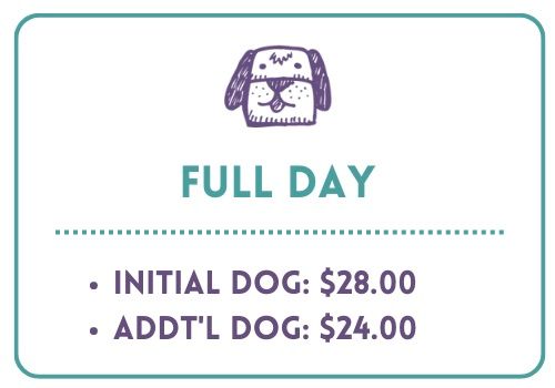 Doodle dog full day price box