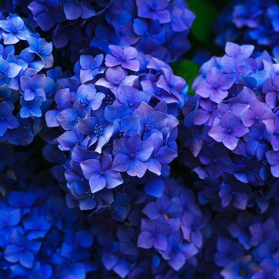 Gaetano cessati ccy2uflo1mg unsplash