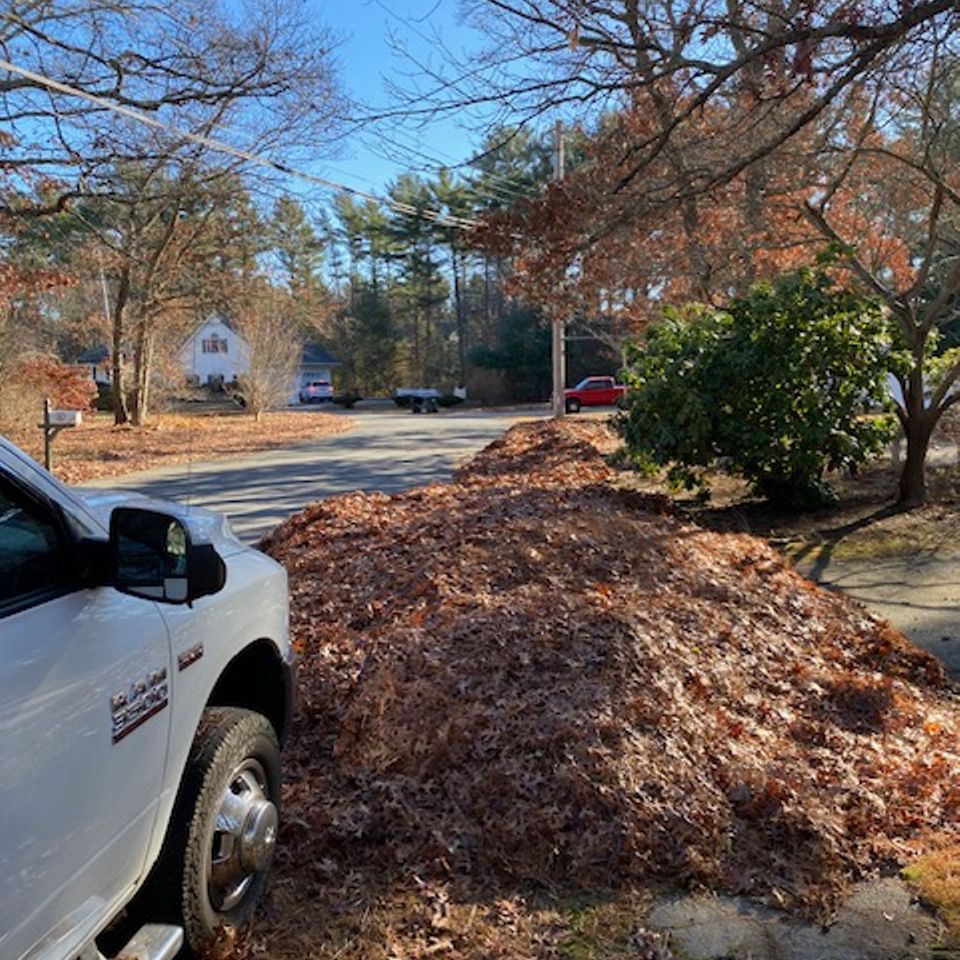 Sullivan cleanup leaves truck2