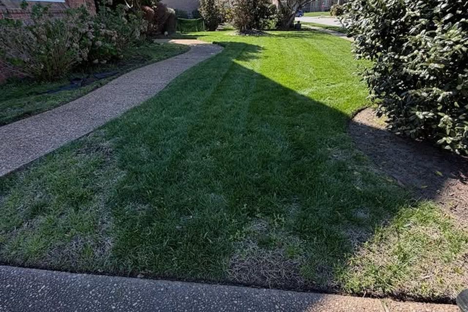 657329002 18065457632404080 6101989962941363268 n.