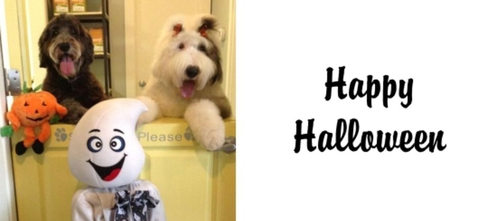 Celebrations   halloween20150621 16889 1yib6p2