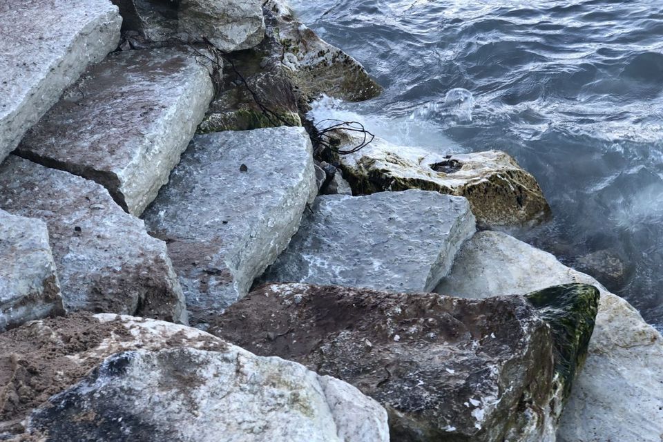 Img 0607 1200x900