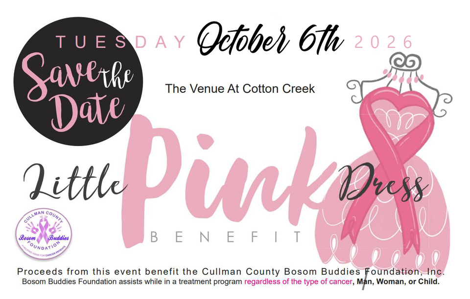 Little pink dressl copy