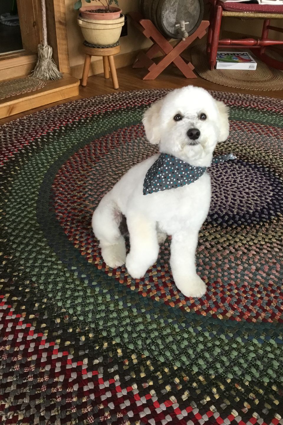 Charlie