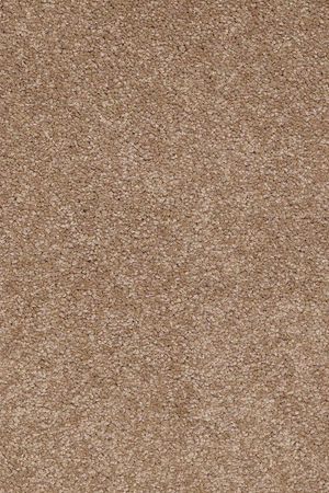 Timeless appeal iii 12'   mojave  5.99