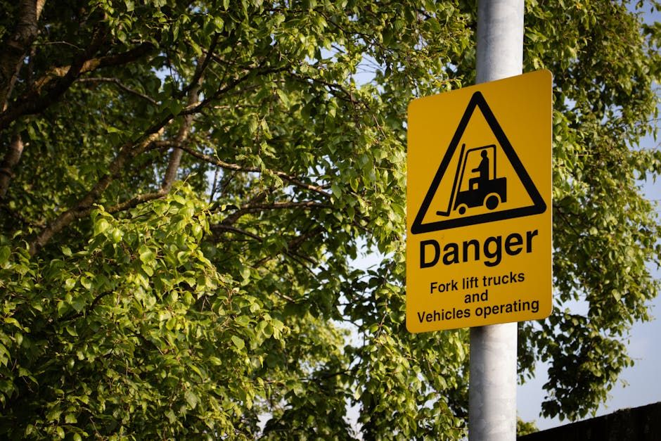 Pexels photo 23891790
