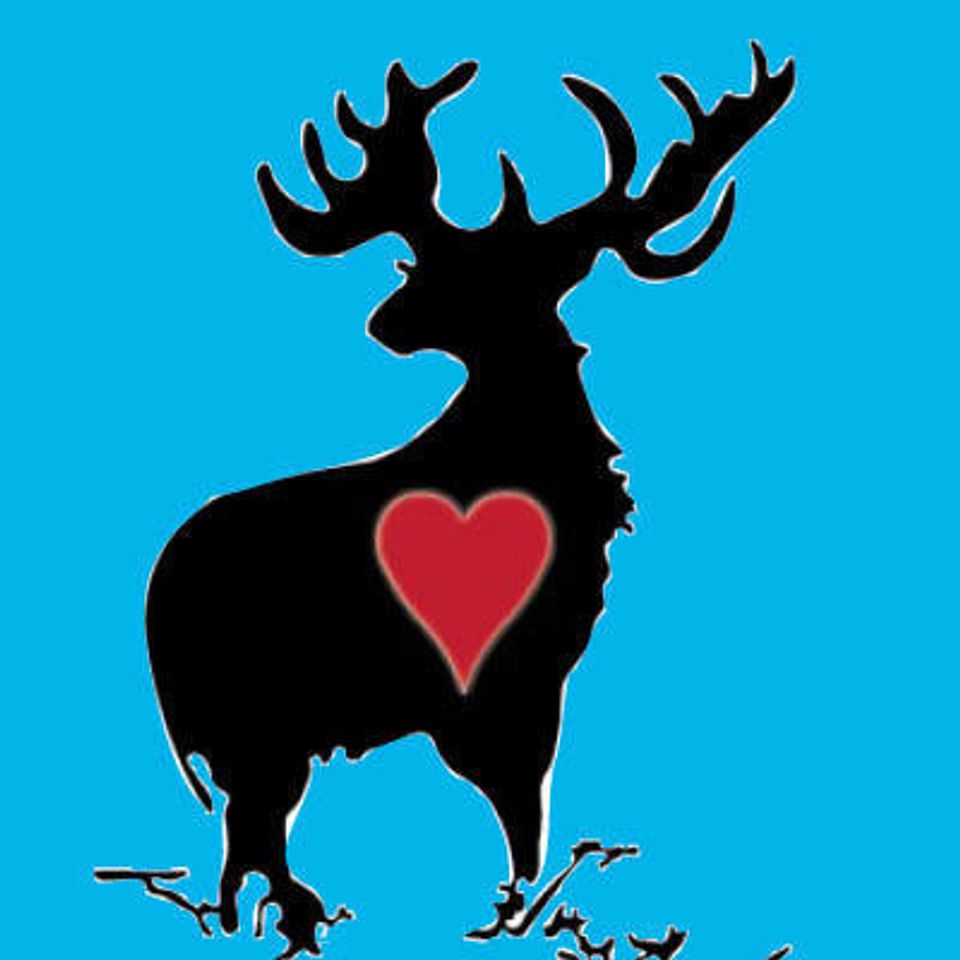 Deer with blue backgroundb