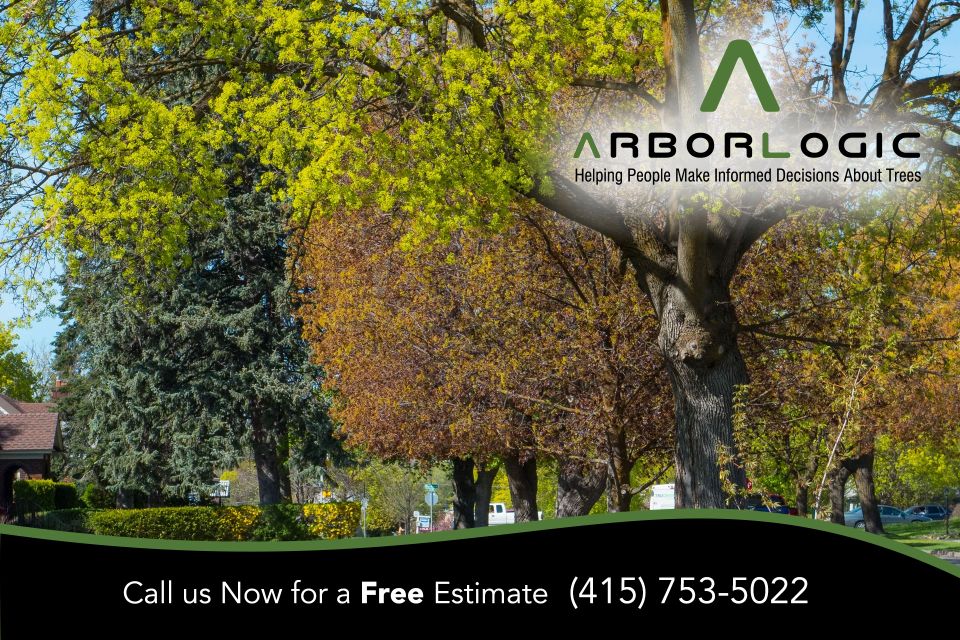 Loi arb 1