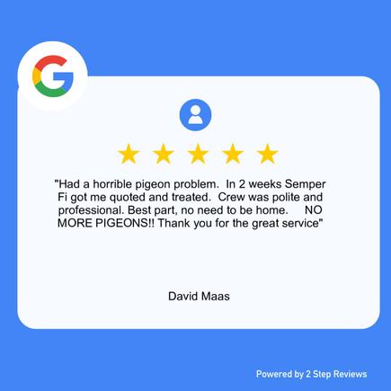 David 5 star review
