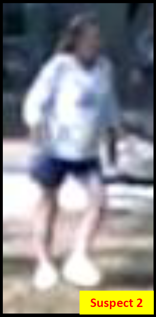 Suspect  2