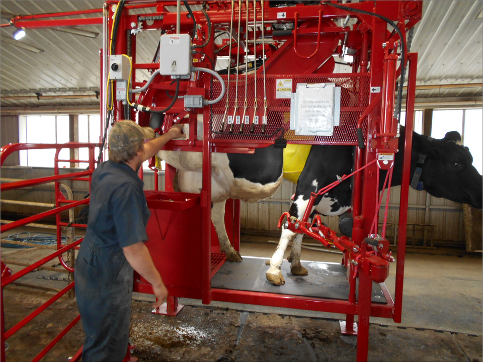 Dairyman