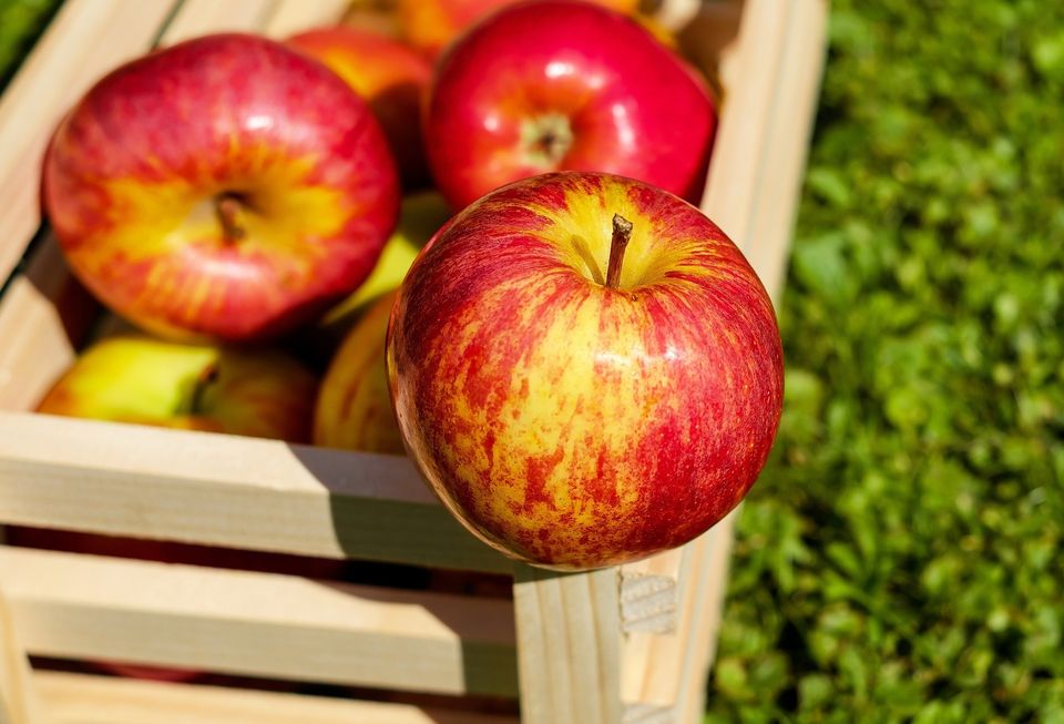 Apple g06531156d 1920