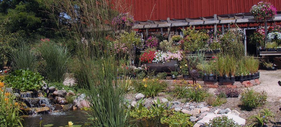Millhome nursery 220160210 27007 oe4u46