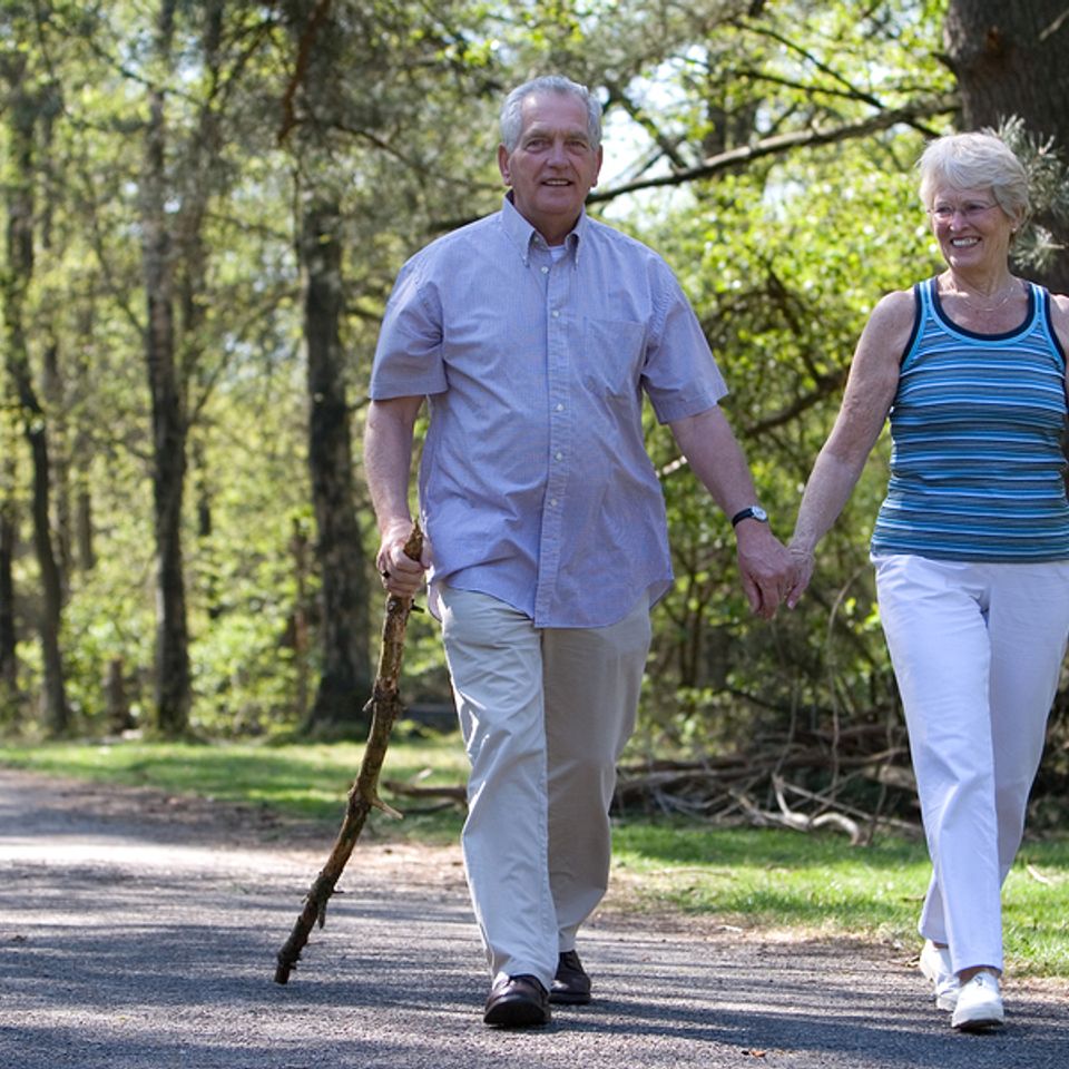 Bigstock out for a walk 2260451