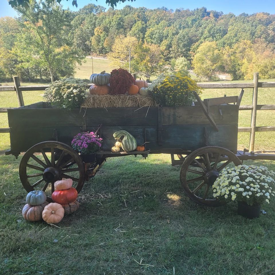 Fall buckboard