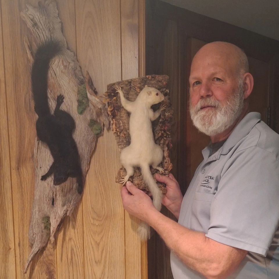 While hunting squirrel in Schaefferstown in Oct.,1986, Shawn Olena spotted an albino squirrel on a branch. 