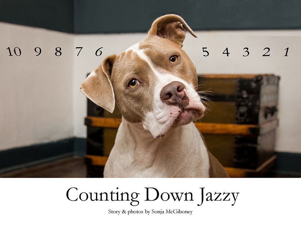 Counting down jazzy cover