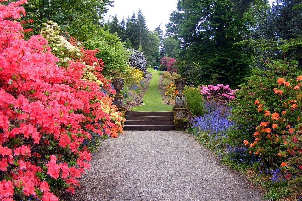 Landscape design20170408 1485 1o6419w