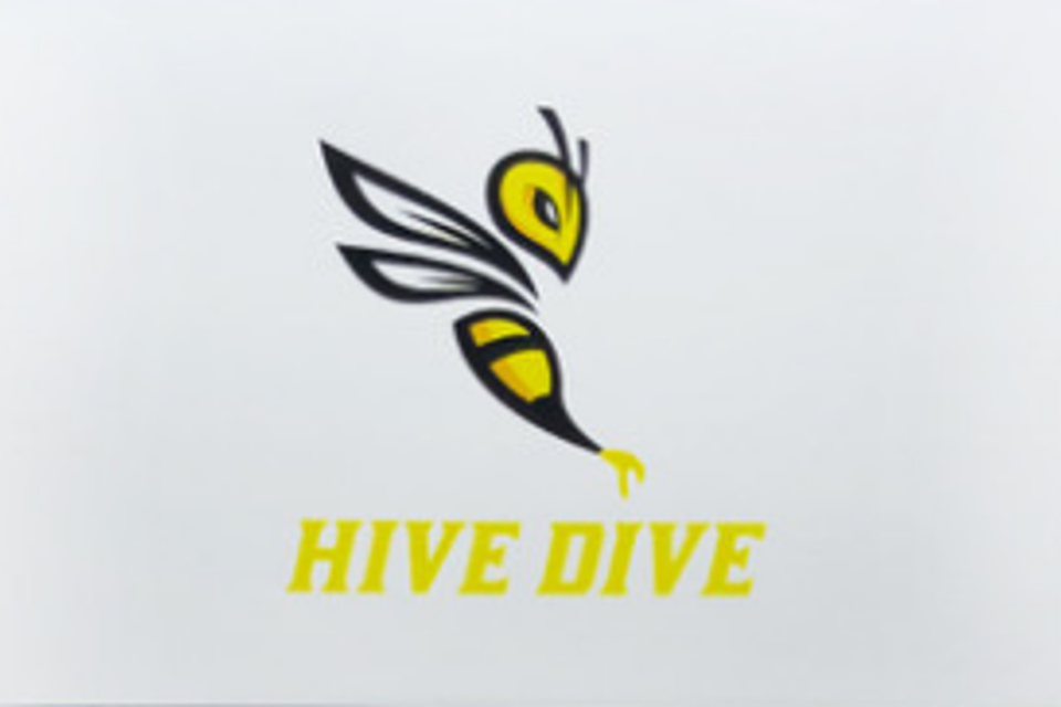 Hive Dive
