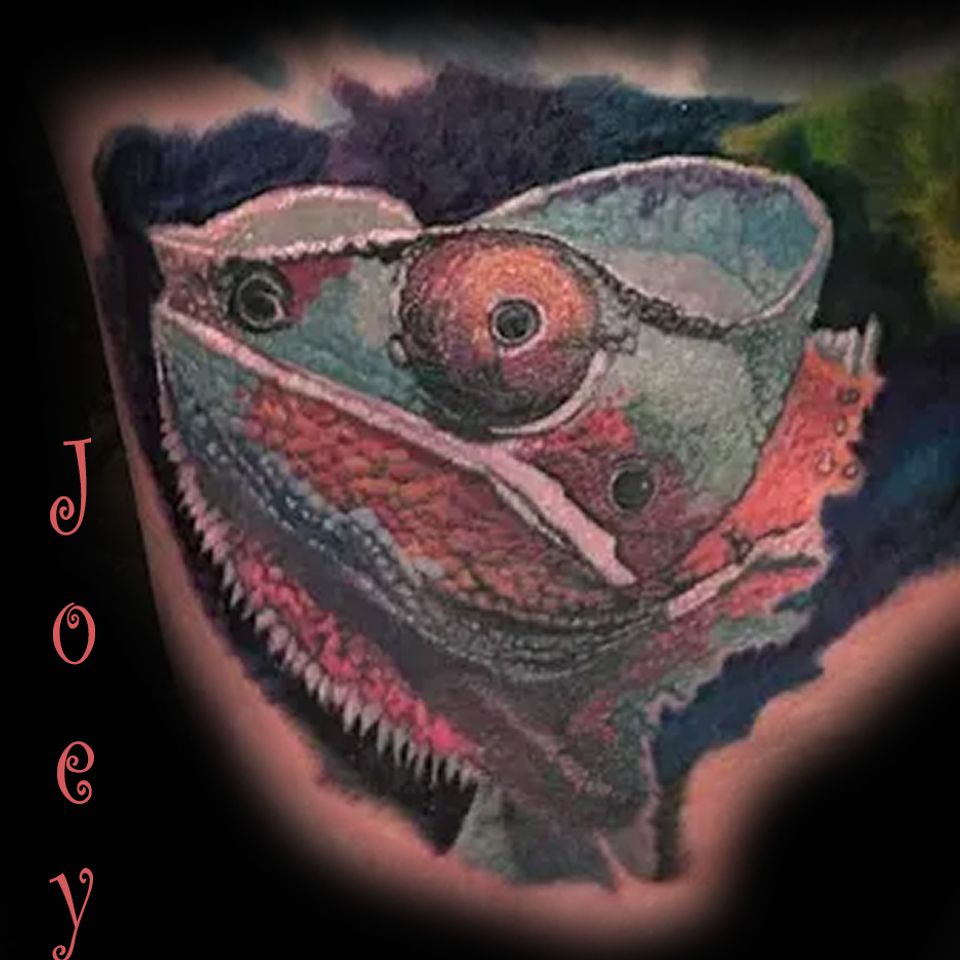 Joey iguana